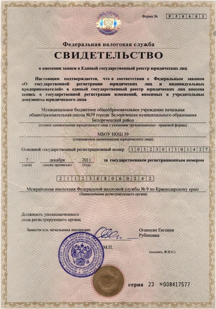 свидетельство егрюл. федеральная налоговая служба огрн. федеральная налоговая служба огрн. свидетельство инн юридического лица. что такое огрнип для ип.