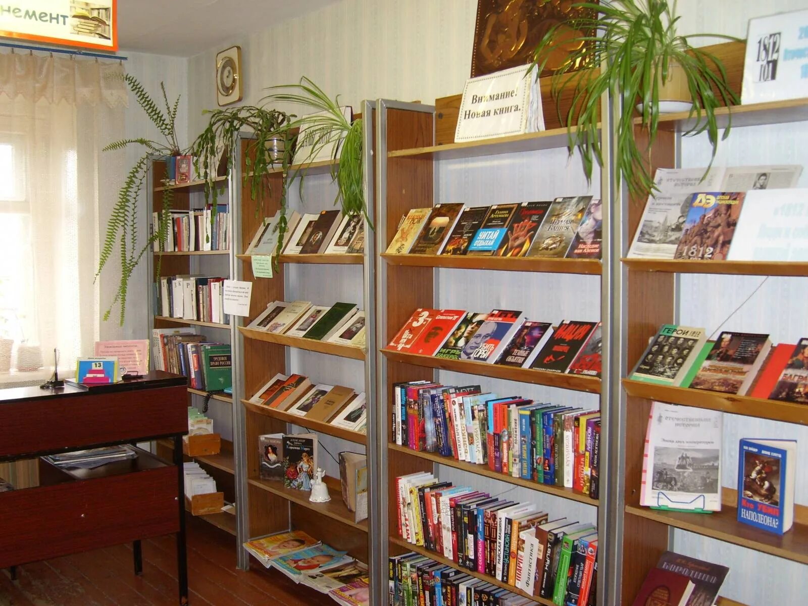 Люкская сельская библиотека. Библиотеки кировской области. Юрьянская библиотека кировской области. Звонаревская сельская библиотека. Кировская цбс.