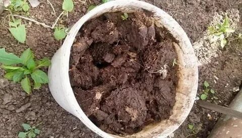 Помет для комнатных растениях