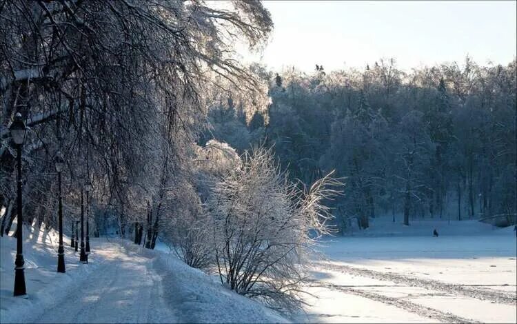 Царицыно видное