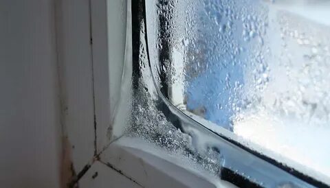 Деревянные окна потеют изнутри что делать
