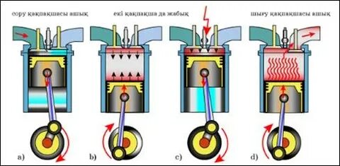 Фетиш киімі бар әйелдер