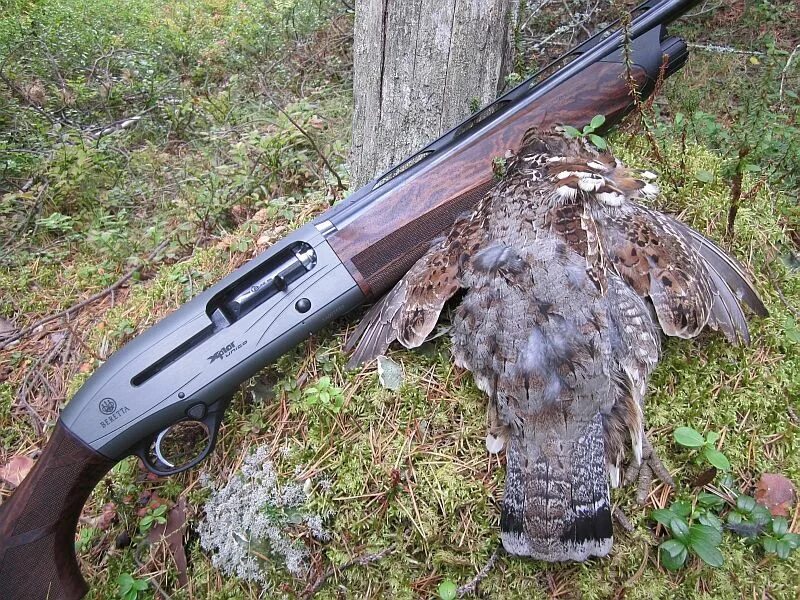А400 новатор. Ружьё беретта а400. beretta a400 xplor. гладкоствольного ружья beretta a400 xplor. беретта ружье xp1ar novator.