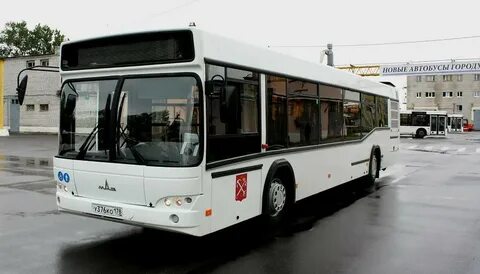 Автобусы спб колпино