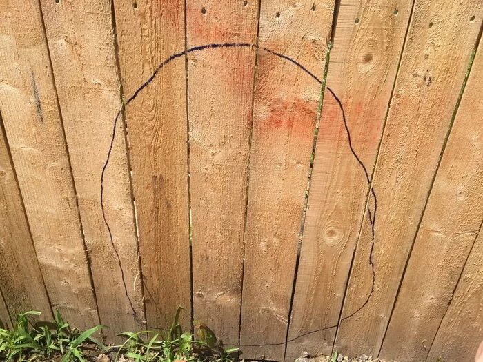 Покрасить старый деревянный забор. Забор покрашенный отработкой. Крашеный шиферный забор. Покрашенный забор объяснение написания. Крашенный профлист для забора.