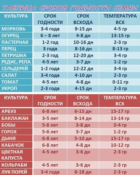 Срок всхожести семян таблица. Сроки годности семян овощных культур таблица. Срок годности овощных семян таблица. Сроки прорастания семян овощных культур. Срок годности семян овощей таблица.