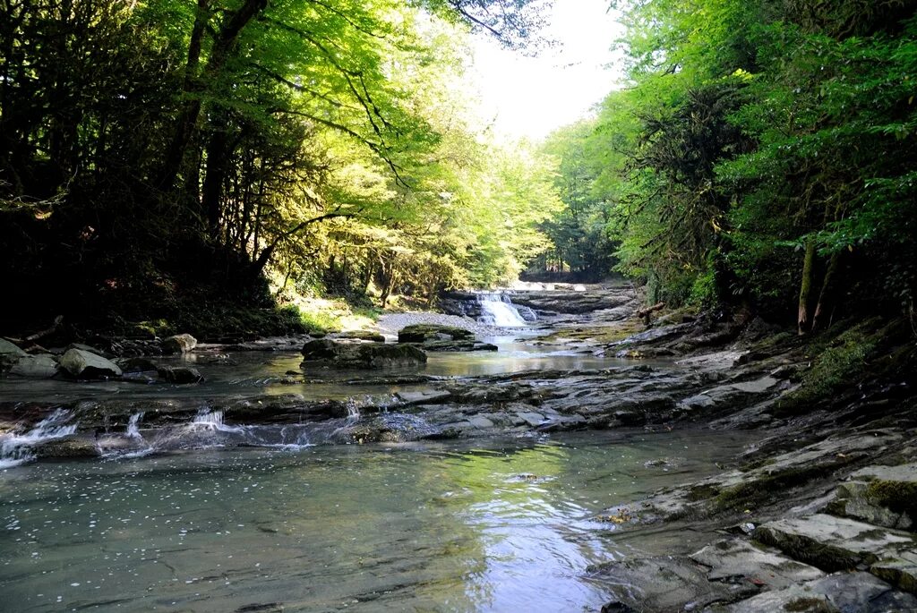 фгау ок дагомыс. р дагомыс. р дагомыс. р дагомыс. дагомыс поселок.