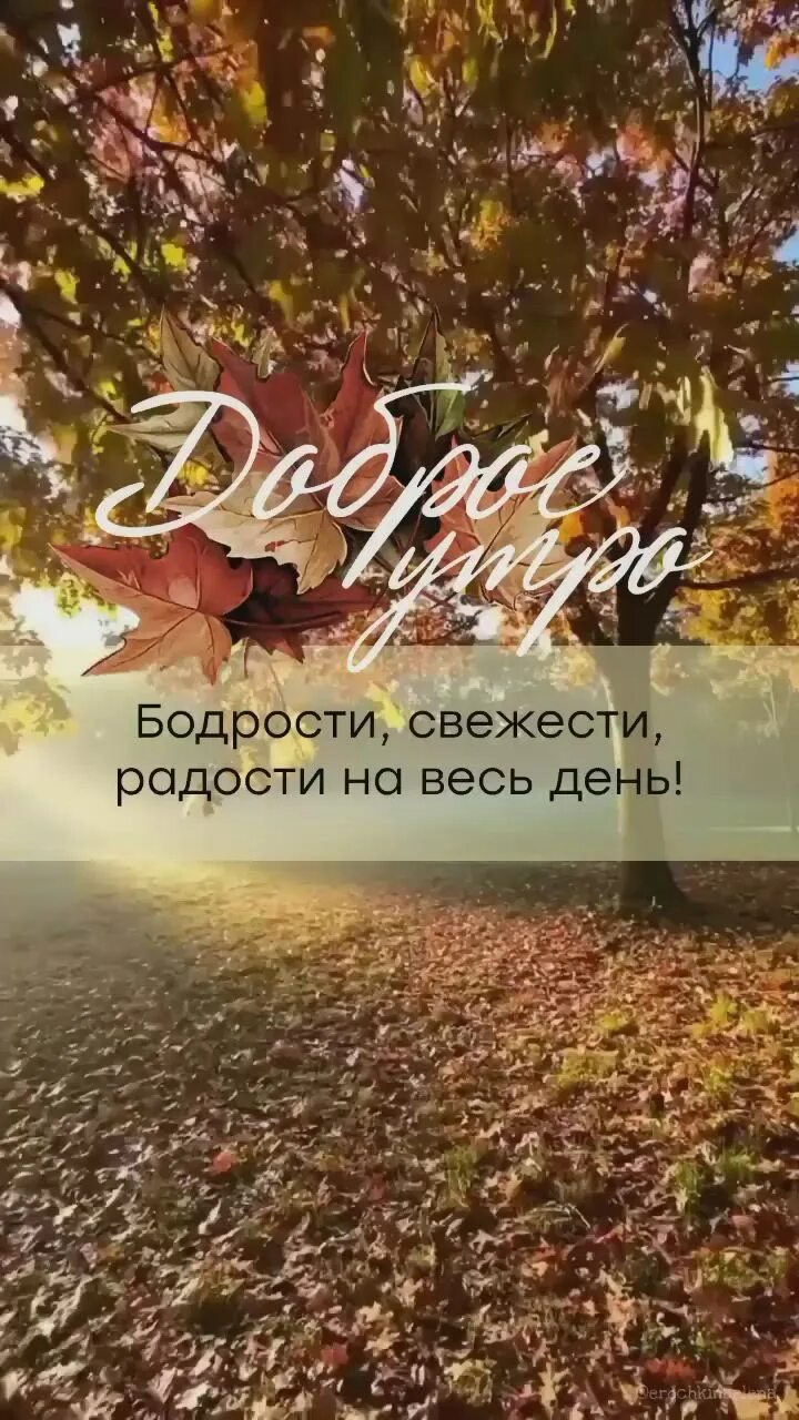 Доброе утро осень. Открытка с холодным осенним утром. Уюта в душе. Картинки с добрым утром осенние. Доброе утро осень.