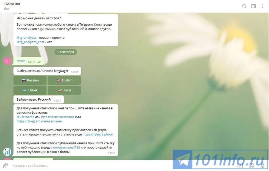 Что будет если сбросить статистику в телеграмме. Как узнать статистику телеграмма. Как посмотреть статистику в телеграмме. Как посмотреть статистику канала в телеграмме. Tgstat.
