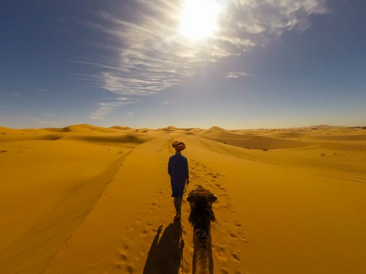 Туареги тагельмуст. Берберы туареги бедуины. Пустыня сахара люди. Паломники в пустыне много. Пустыня для детей.