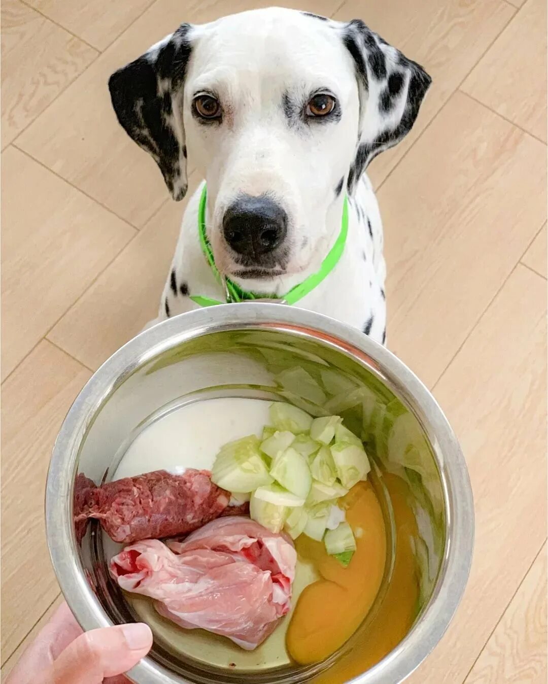 Легкие можно давать собаке. Еда для собак. Натуральная пишадля собак. Натуральное питание для собак. Еда для собак натуралка.