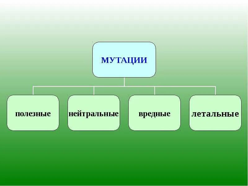 Полезные мутации. Задания на тему факторы эволюции 9 класс. мутации как фактор эволюции презентация 11 класс. факторы эволюции органического мира таблица мутация. большинство мутаций полезные вредные нейтральные.