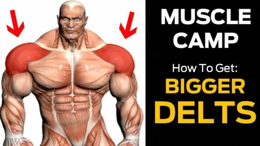 How to get big. How to get big bak. pump up muscles. how to make shoulders less broad.