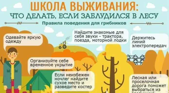 Что есть если заблудился в лесу. Памятка для заблудившихся в лесу. как не заблудиться в лесу. что делать если ты потерялся в лесу. если ты заблудился в лесу.