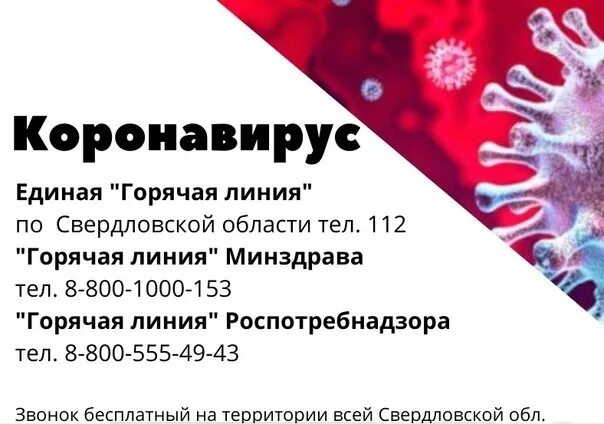 Екатеринбург коронавирус свердловская область. Горячая линия коронавирус свердловская область. горячая линия по коронавирусу в свердловской области. горячая линия коронавирус. горячие линии по коронавирусу.