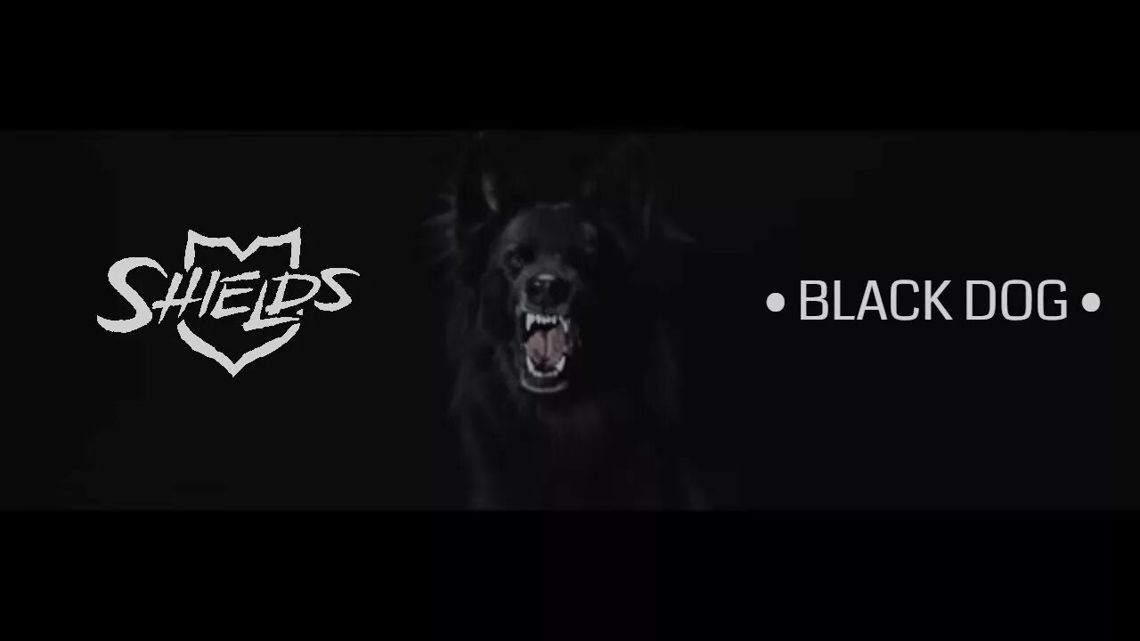 Black dog перевод на русский. Группа Блэк дог. Хардкор собака чёрный. Чёрная собака песня. Бренд одежды/черная собака.