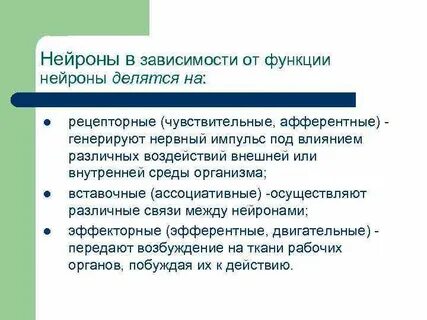 Функции нейронов человека