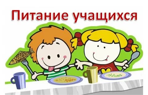 Организация питания учащихся