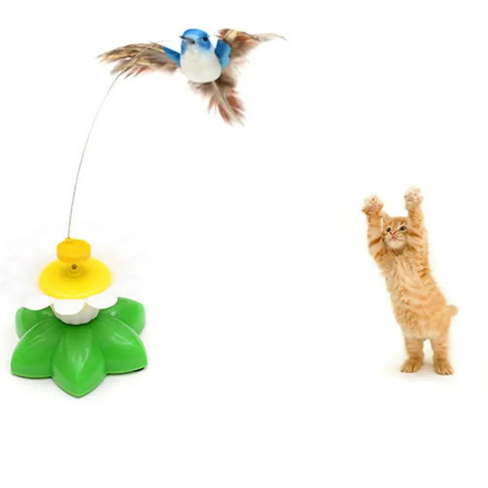 Птички для котов на экране со звуком. Игрушка для кошки. Электрическая игрушка для кошки. Игрушка интерактивная игрушка для кошек. Подвесная игрушка для кошек.