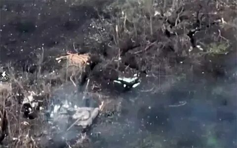 Видео расстреляли в окопе