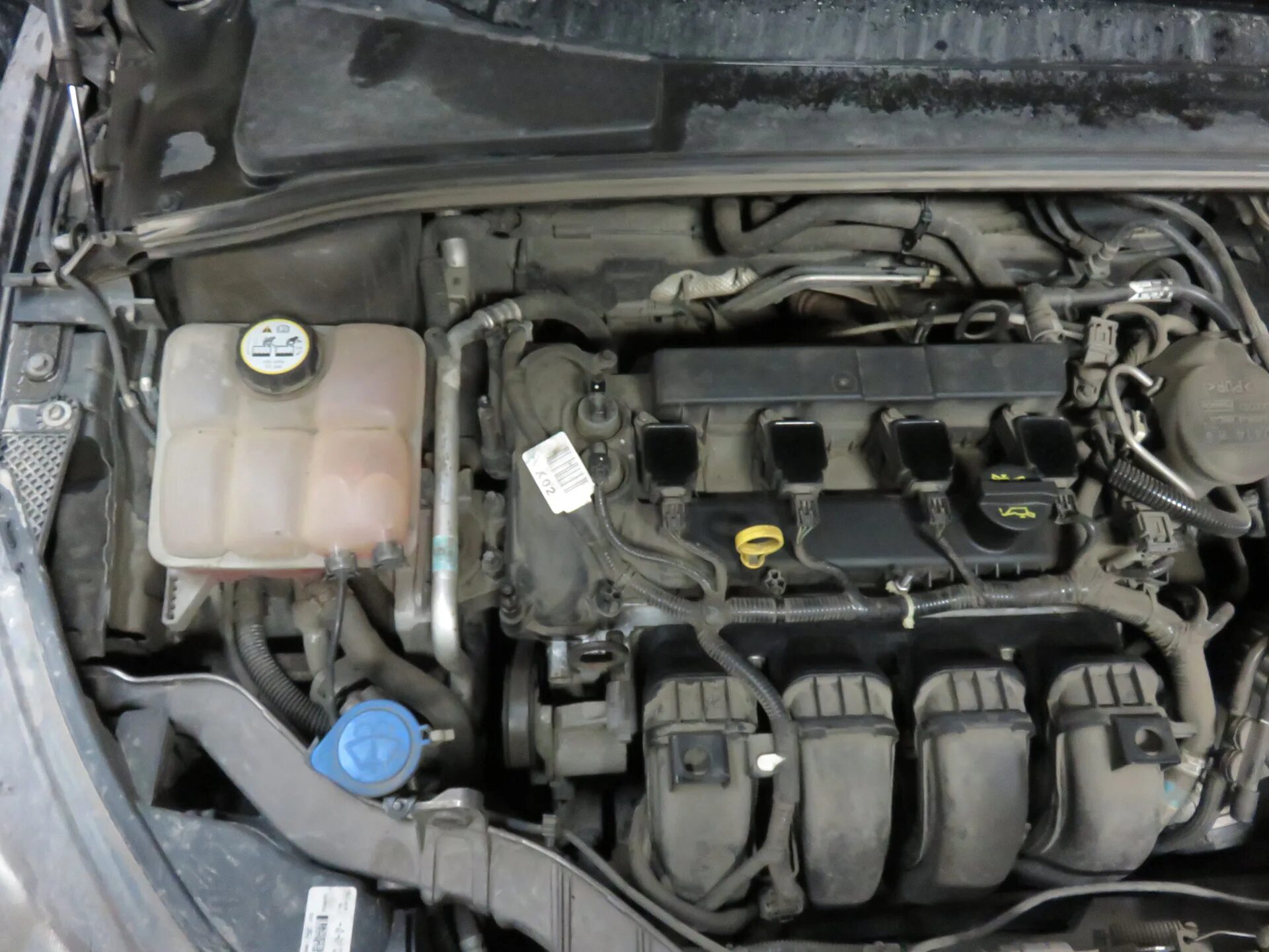 8. Вода в масле в двигателе форд фокус 2 2 литра. Форд фокус 2 2 литра свернулась масло в двигателе. Замена двигателя форд фокус 2 1. Замена мотора форд фокус 2.