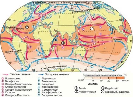 Проанализируйте физическую и политическую карты мира и определите берега каких с