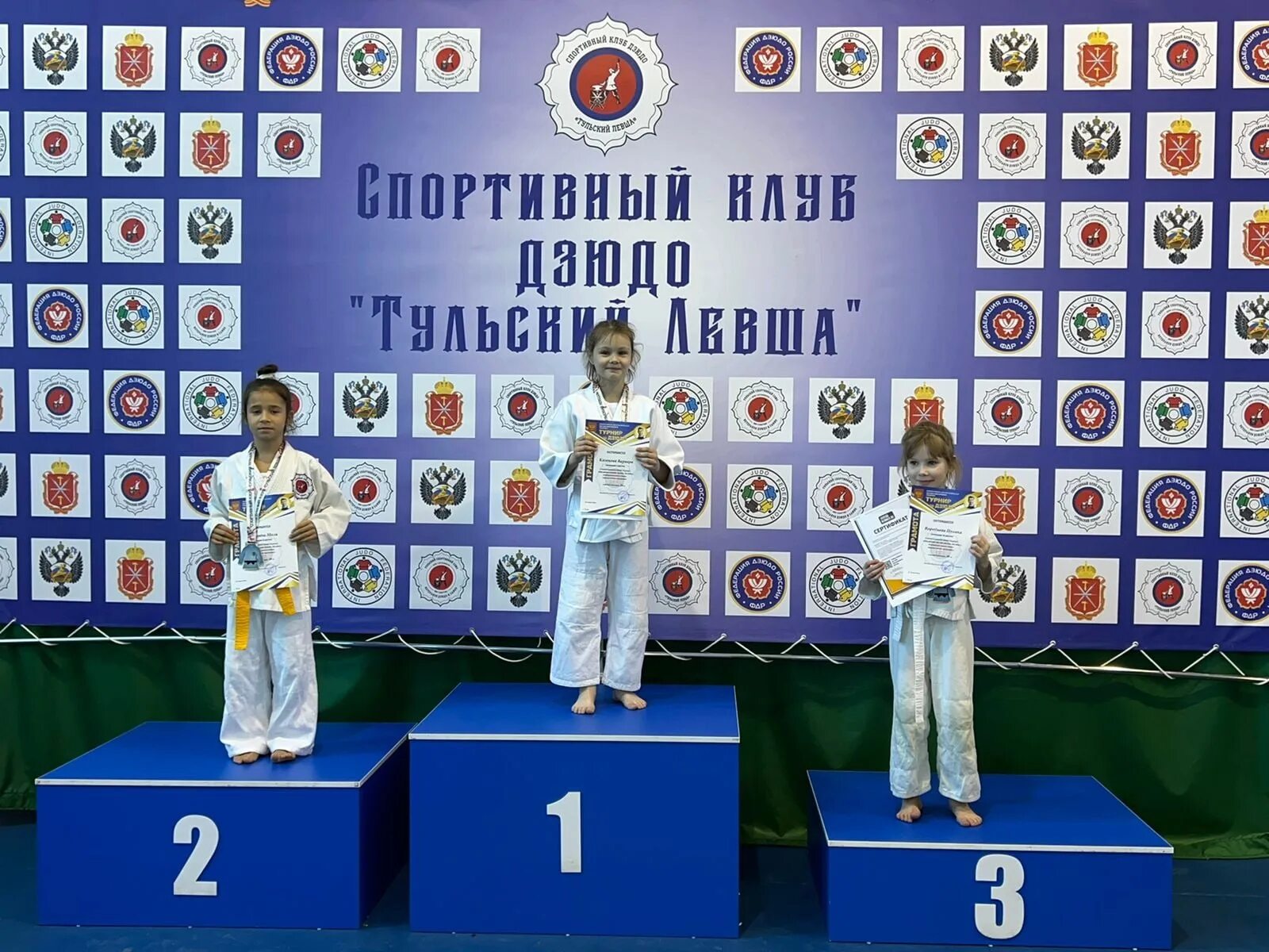 Хср турнир выдающихся талантов камнеграда. Дзюдо тула. олимп школа дзюдо. дзюдо тула соревнования 2015. турнир по дзюдо в шатске 2025.