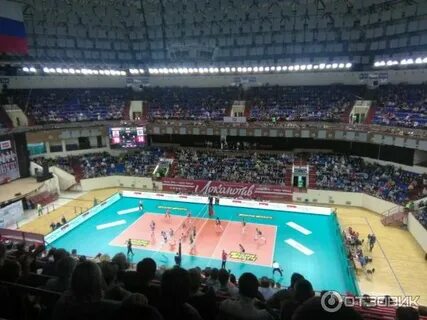 Янтарный калининград спорт