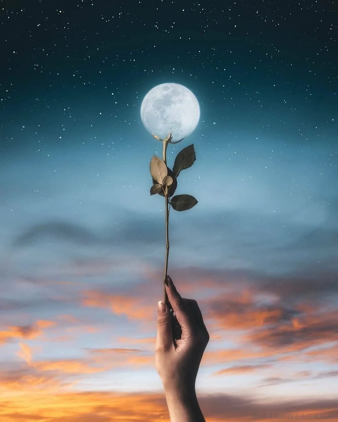 Ночь озеро луна. Ночь любви. Девушка-луна. Мысли в лунном свете. Спокойнойночки мужчине.