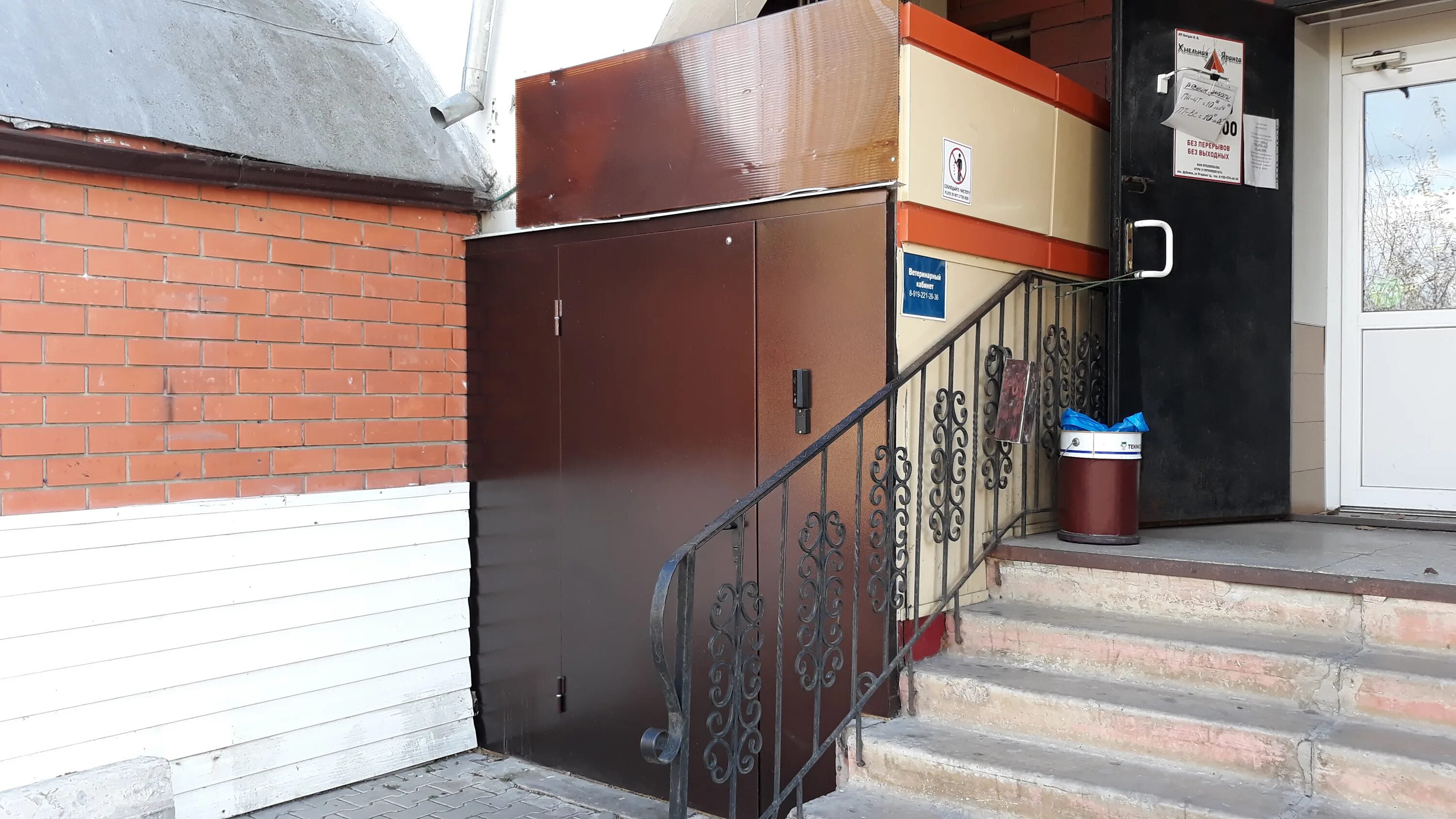 Оптимист омск. Дубовое ягодное. Оптимист черепаново. Дубовое ягодное. Дубовое ягодное.