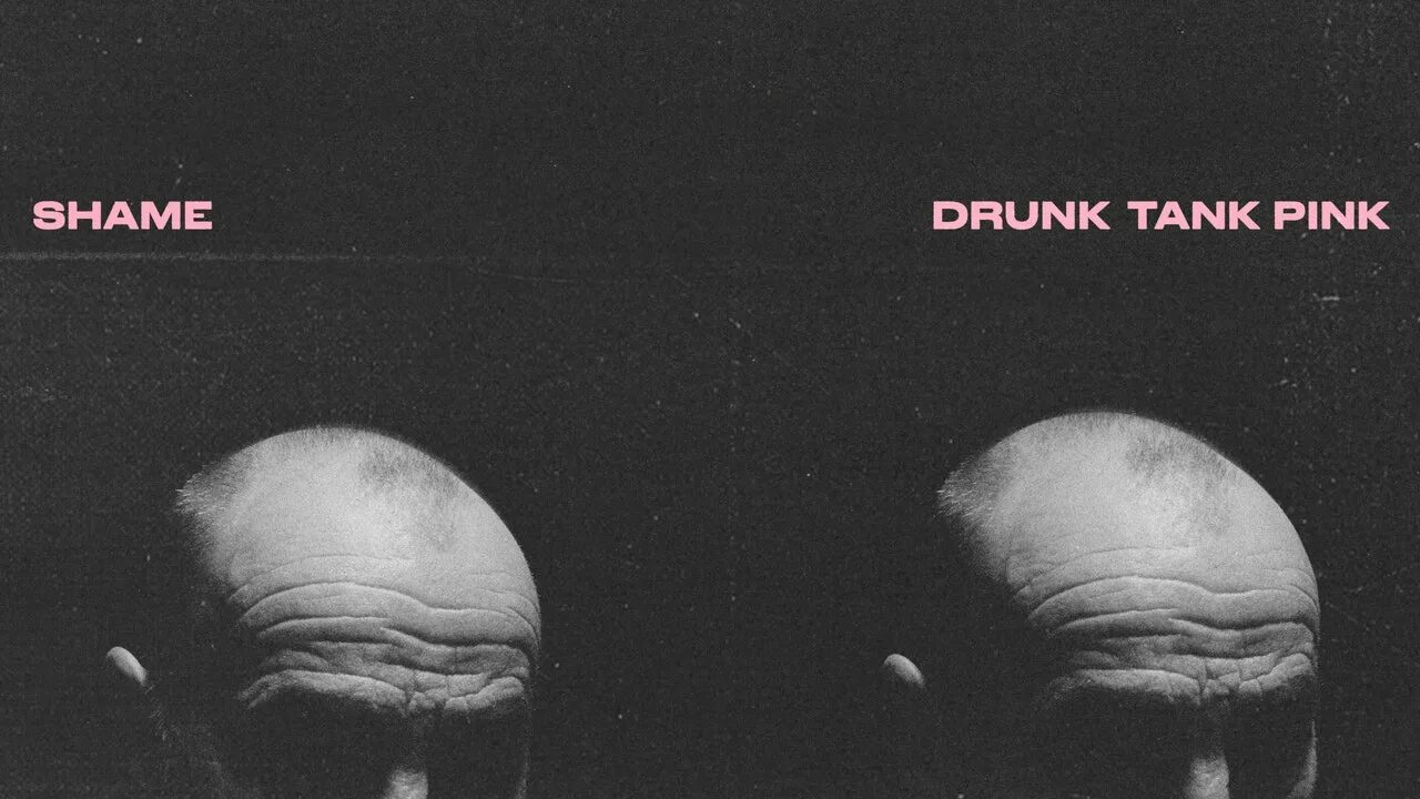 Sham перевод на русский. Shame drunk Pink Tank. Shame - drunk Tank Pink 2021. Shame "drunk Tank Pink, CD". Drunk Tank Tindersticks.