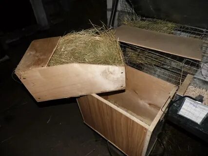 Размеры маточника для крольчихи