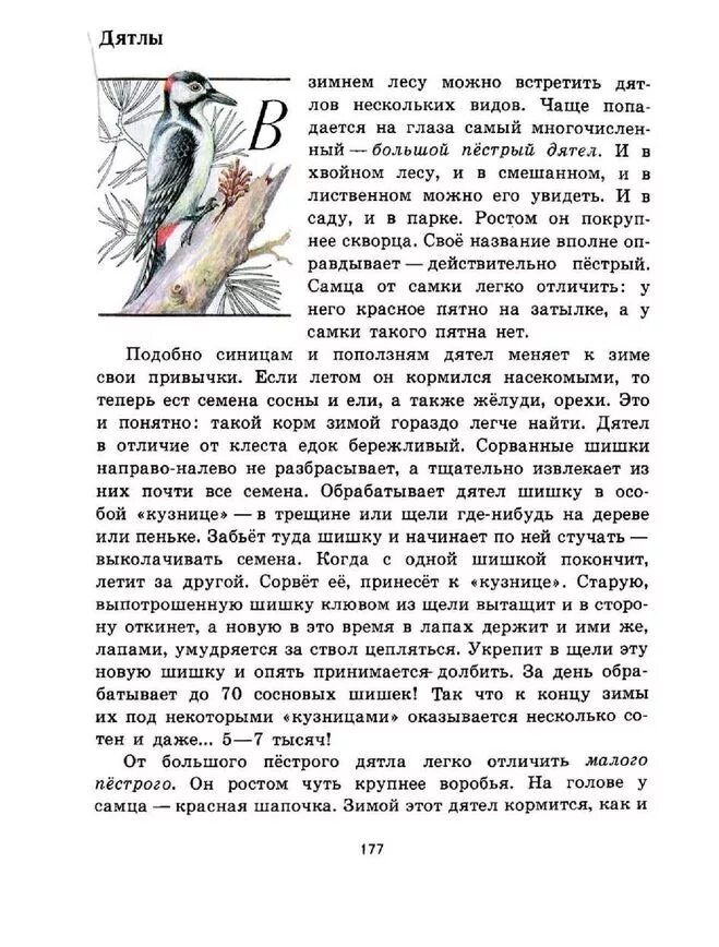 книжка зеленые страницы 2 класс. зеленые страницы птицы. зеленые страницы плешаков птицы зимующие и перелетные. зеленые страницы птицы.