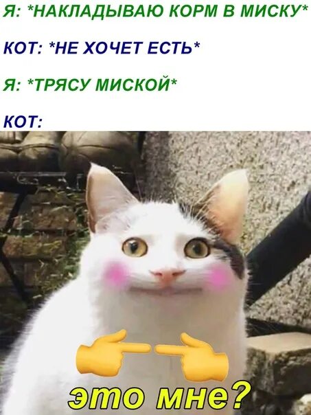 Мем а че всмысле с котом но ведь от этого теряется весь смысл, Мем Но ведь Рисовач .Ру