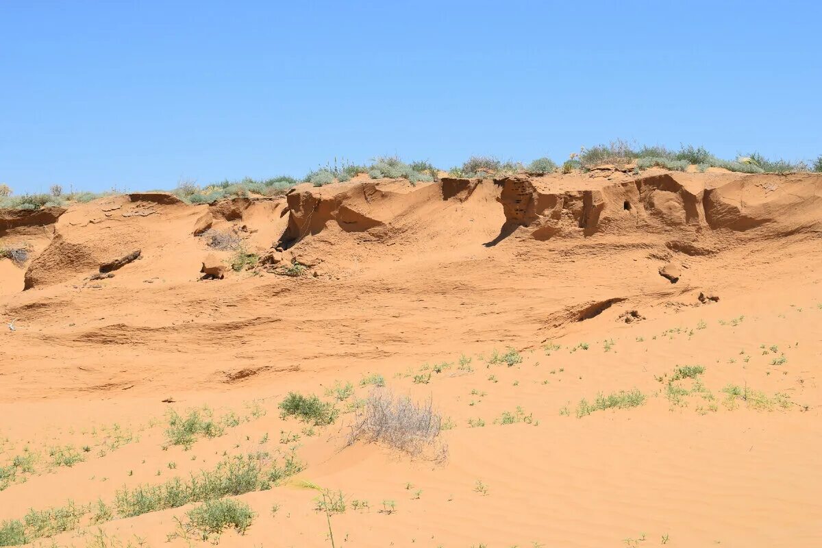Пустыня черные земли. Утта калмыкия барханы. Заповедник черные земли пустыня. Утта калмыкия пустыни. Элиста черные земли.