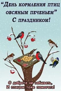 День кормления птиц