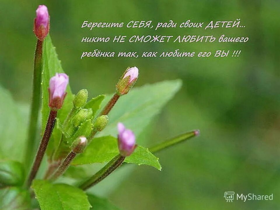 Мысли весной. Девушка весна. Цветущие сады. Цитаты про весну. Девушка весна.