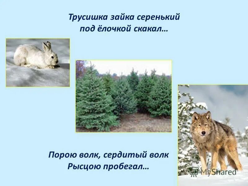 трусишка зайка серенький под ёлочкой скакал. трусишка зайка серенький под елочкой скакал песня. михалков елка стихотворение. зайчишка зайка серенький под ёлочкой. детские стихи про елку.