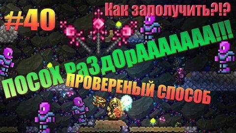 Жезл раздора