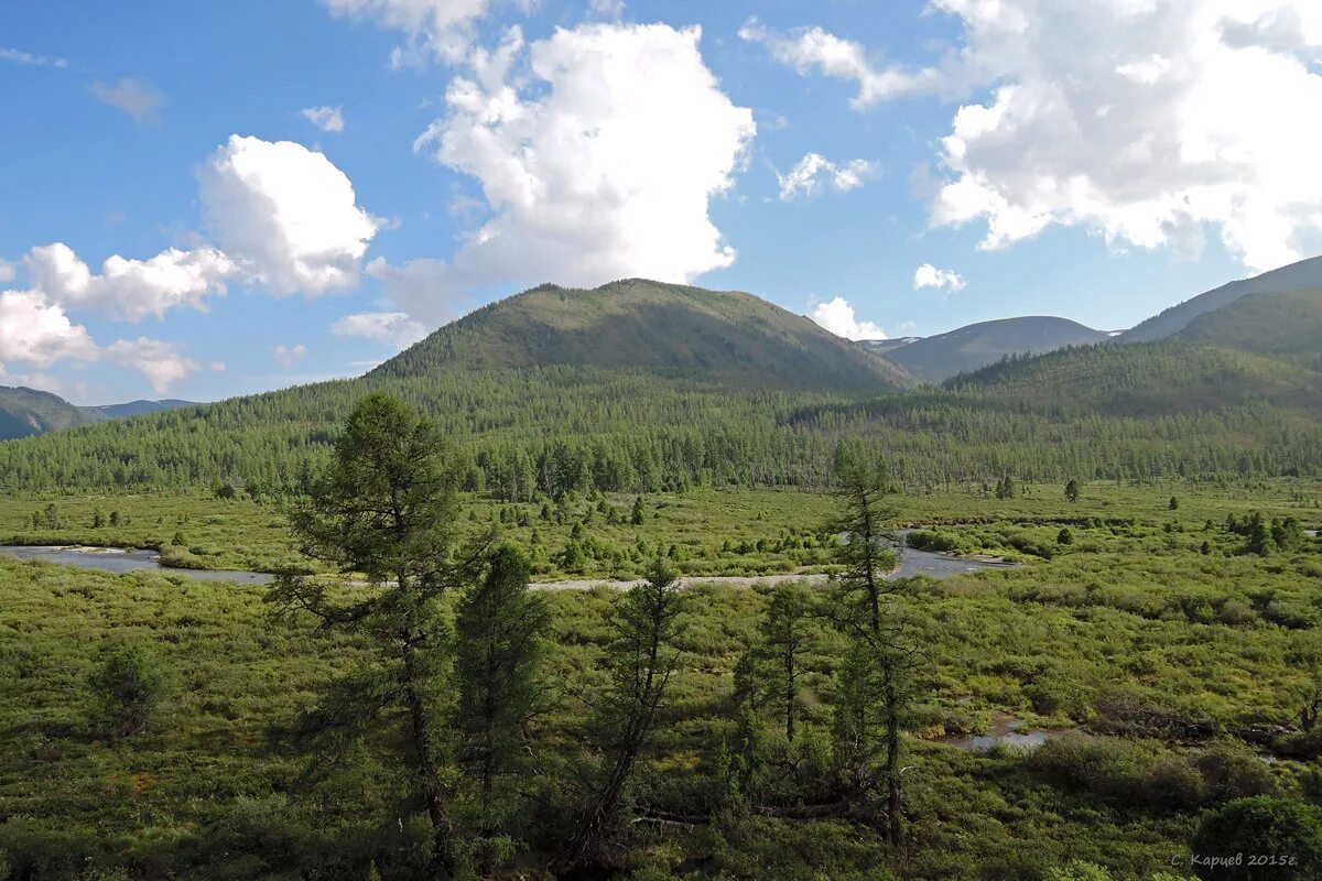 Казыр междуреченск. Вид на сундуки хакасия дерево. Республика алтай майминский район тавдинские пещеры. Первый сундук хакасия. Хакасия 2015.