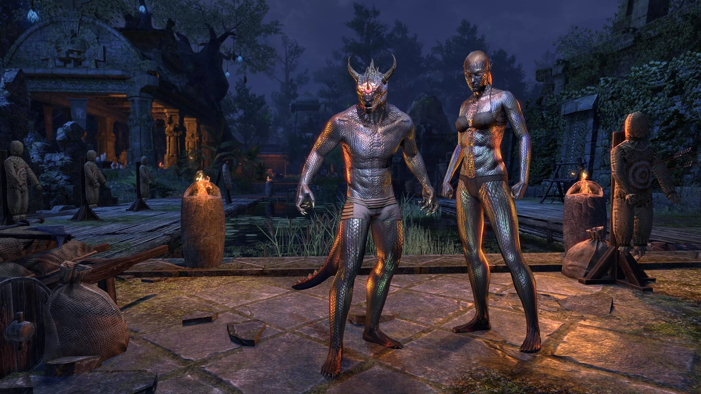 Нетч скайрим. Por eso. Нарья вириан. Por eso. The elder scrolls саммерсет.