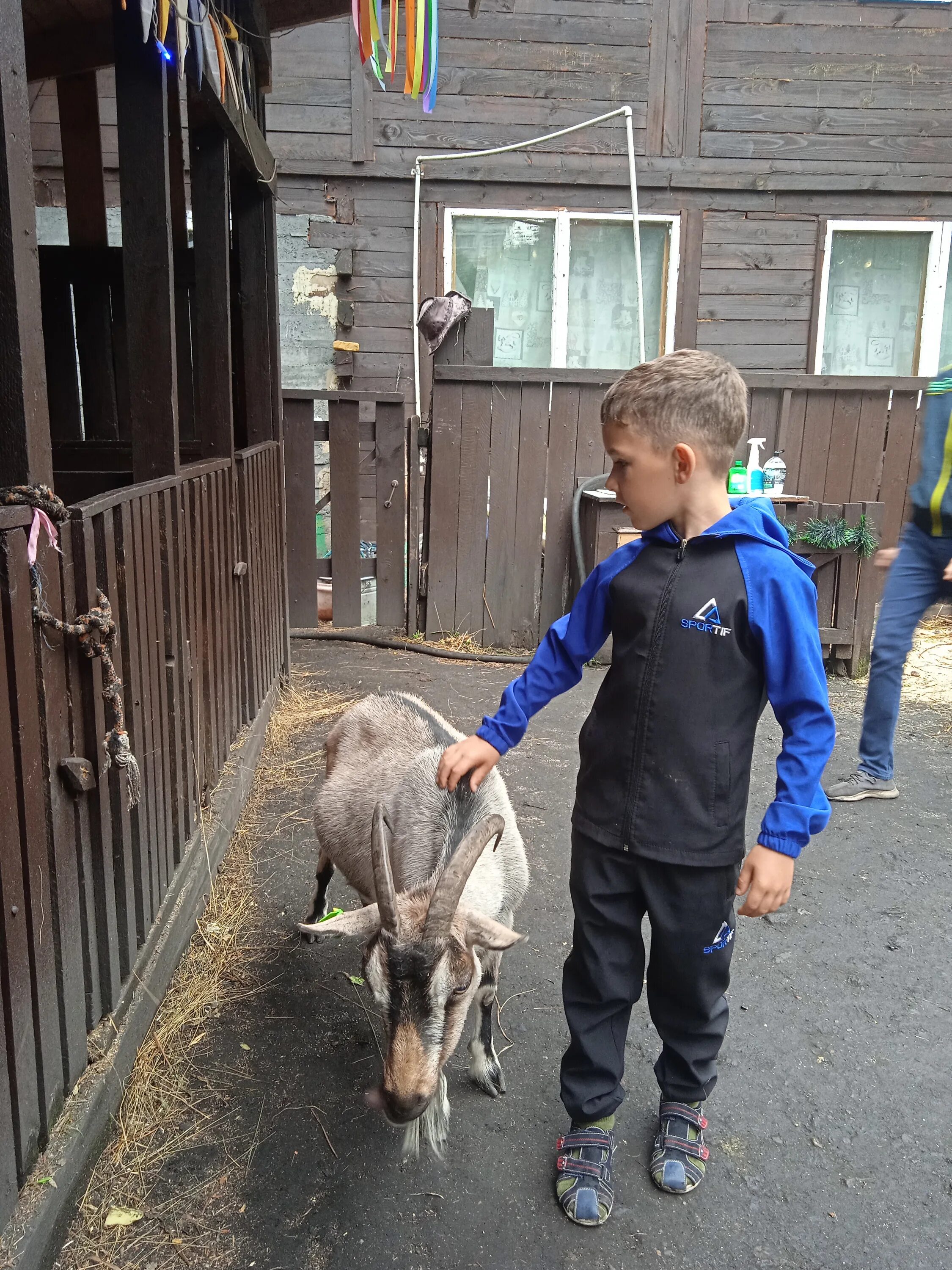 контактный зоопарк архипо осиповка. тактильный зоопарк. контактный зоопарк омск. дочки сыночки вывеска. маленький контактный зоопарк на улице.