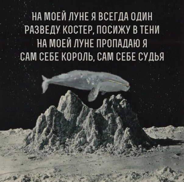 На моей Луне я всегда один. На своей Луне я всегда один. На моей Луне я всегда один разведу. Мертвые дельфины на моей Луне.