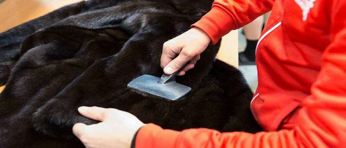 Нашли шубу. Нашли шубу. Меховая промышленность. Нашли шубу. Настоящий мех норки.