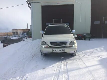 Туманки харриер
