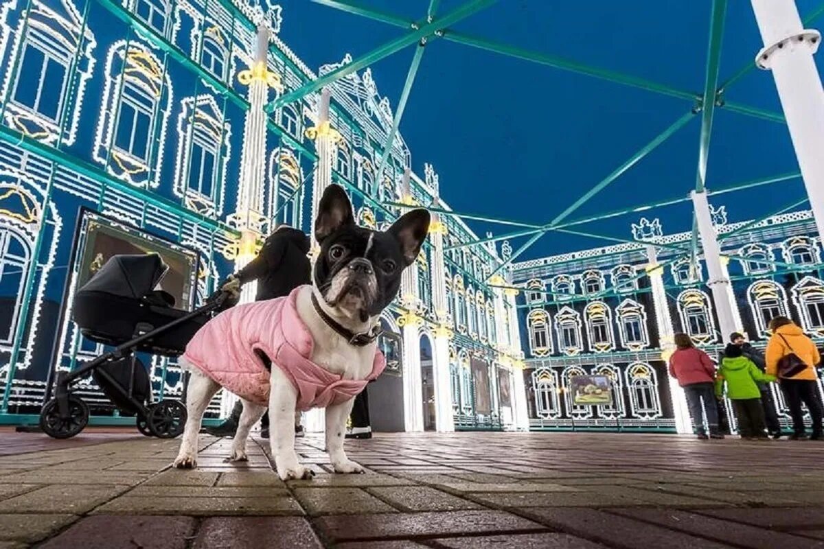 Эрмитаж Белгород. Парк Победы Белгород Эрмитаж. Эрмитаж Белгород зимний. Эрмитаж Белгород новогодний.