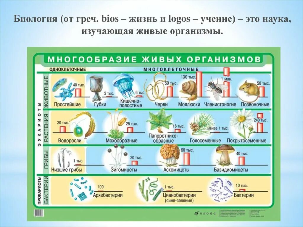 Учебные плакаты по биологии. Наглядные пособия по биологии. Многообразие живых организмов. Плакат по биологии 9 класс.