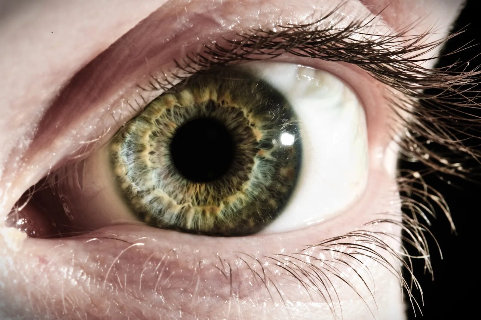 Eye can hear you. Dream of or about. 123 на англ яз. Eye can hear you. Зеленые глаза в макросъемке.