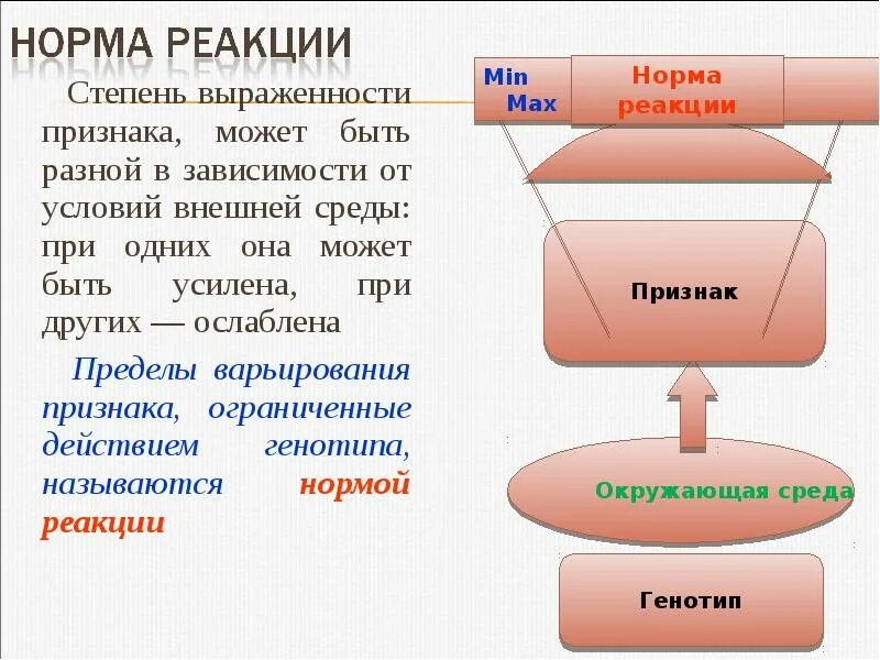 Нормы реакции бывают. Норма реакции это в биологии. Норма реакции признака примеры. Однозначная норма реакции. Проявление новой нормы реакции признака.