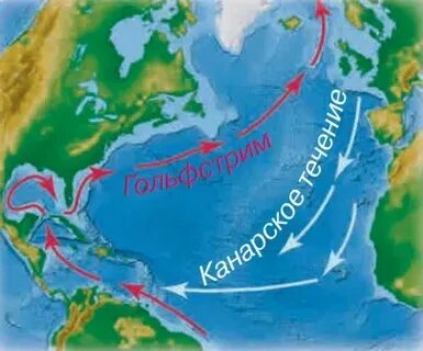 Теплое течение куросио